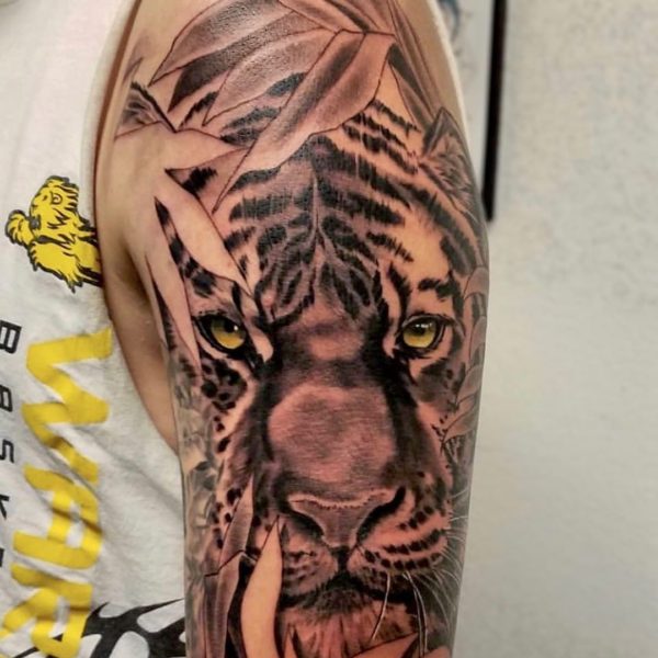Brandon: Tiger