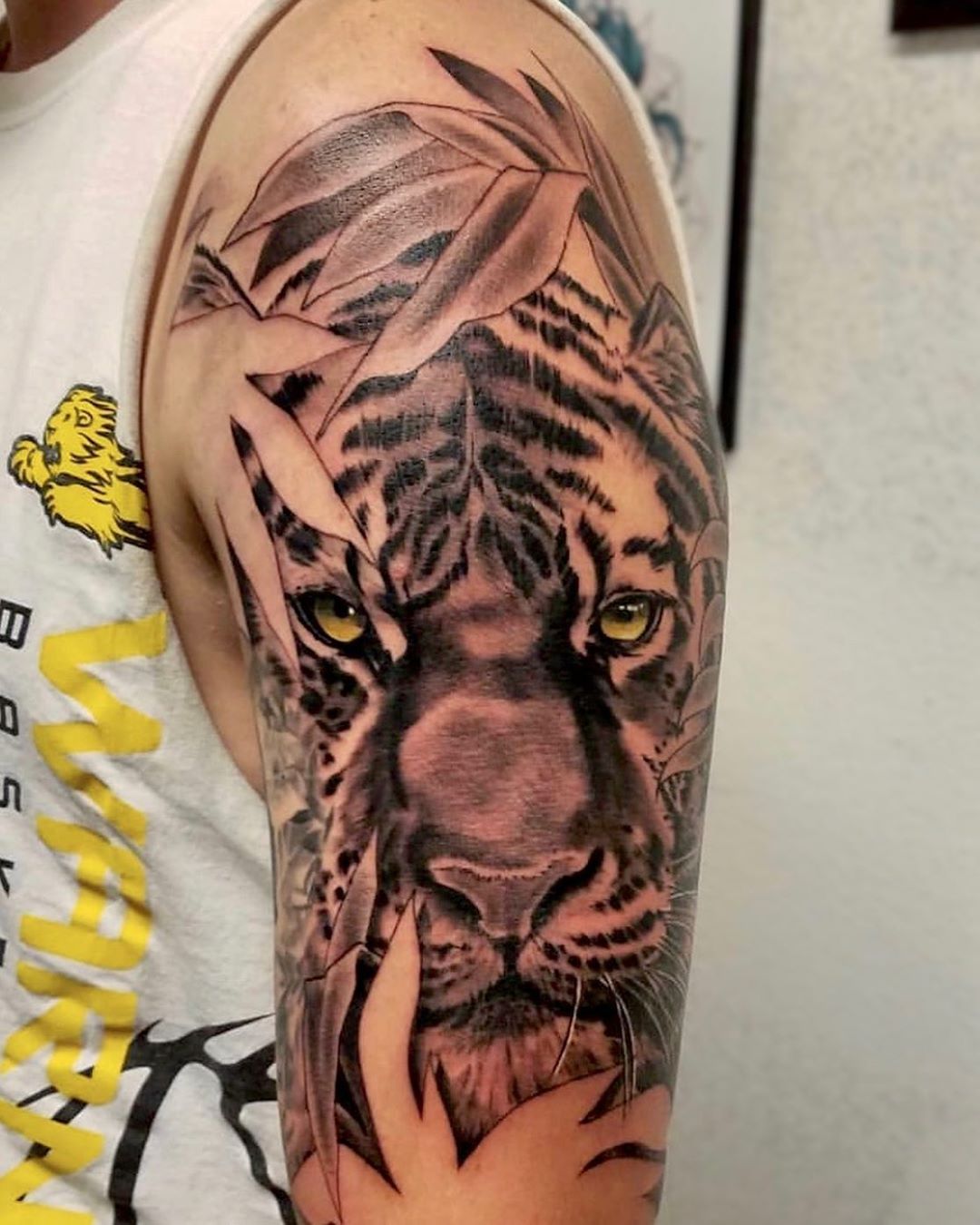Brandon: Tiger - Studio Thirteen