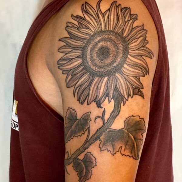 Dock: Sunflower