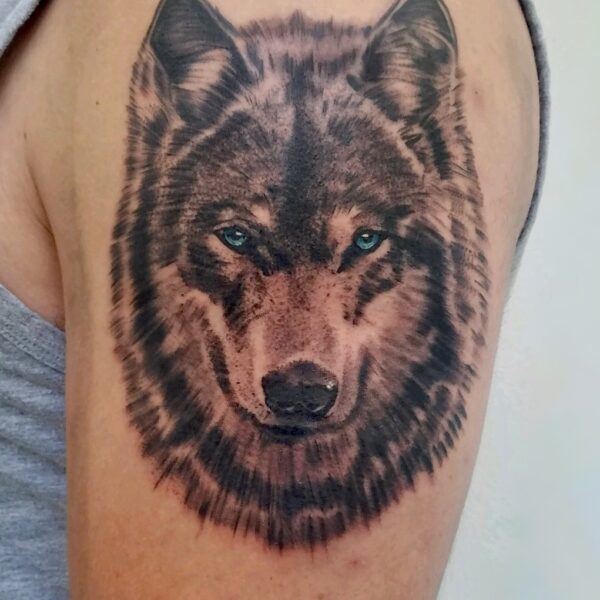 Brandon: Wolf