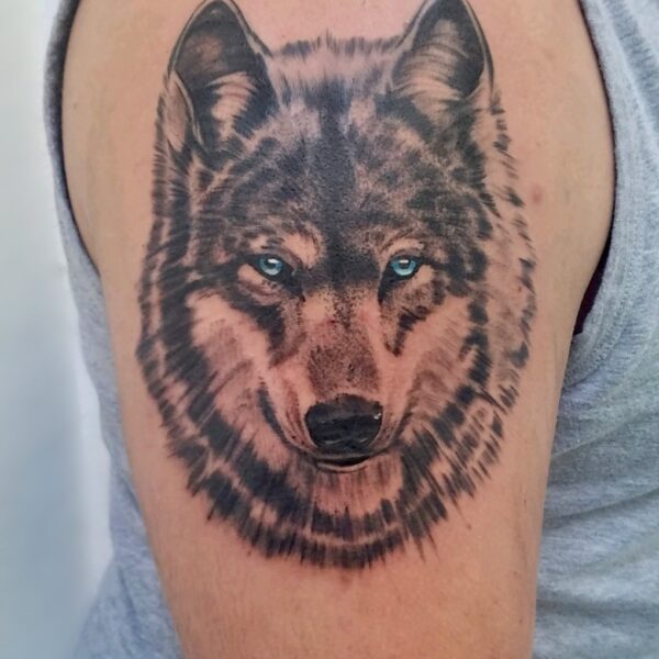Brandon: Wolf