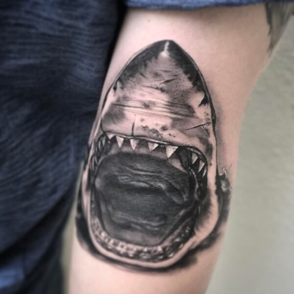 Leif: Shark