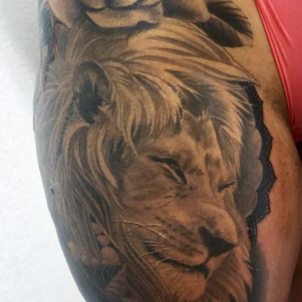 Brandon: Lion (mostly healed, some fresh)