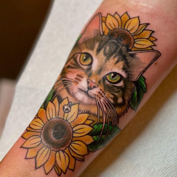Brandon: Sunflower Cat