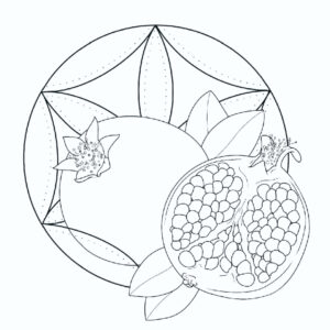 Pomegranate