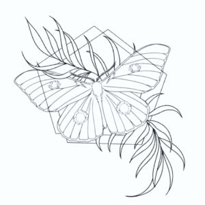 Moth