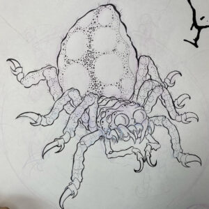 Spider